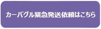 カーバグル緊急発送依頼フォーム